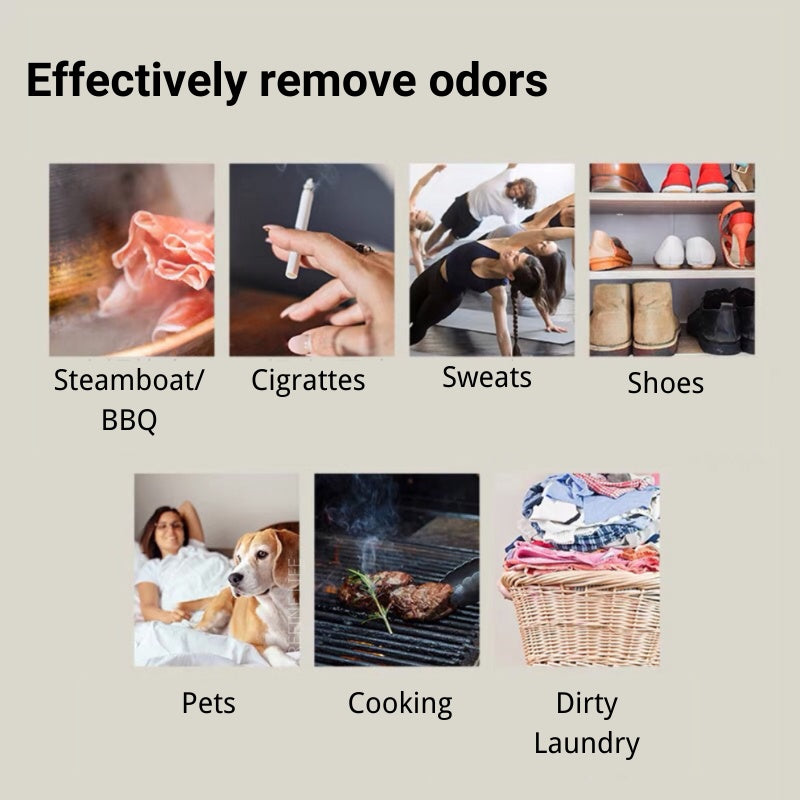 Lycocelle Plant Based Spray / Odor remover Spray / Anti Dust Mites Spray / Anti-Bacterial Spray